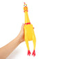 Screaming Chicken Pet Toy