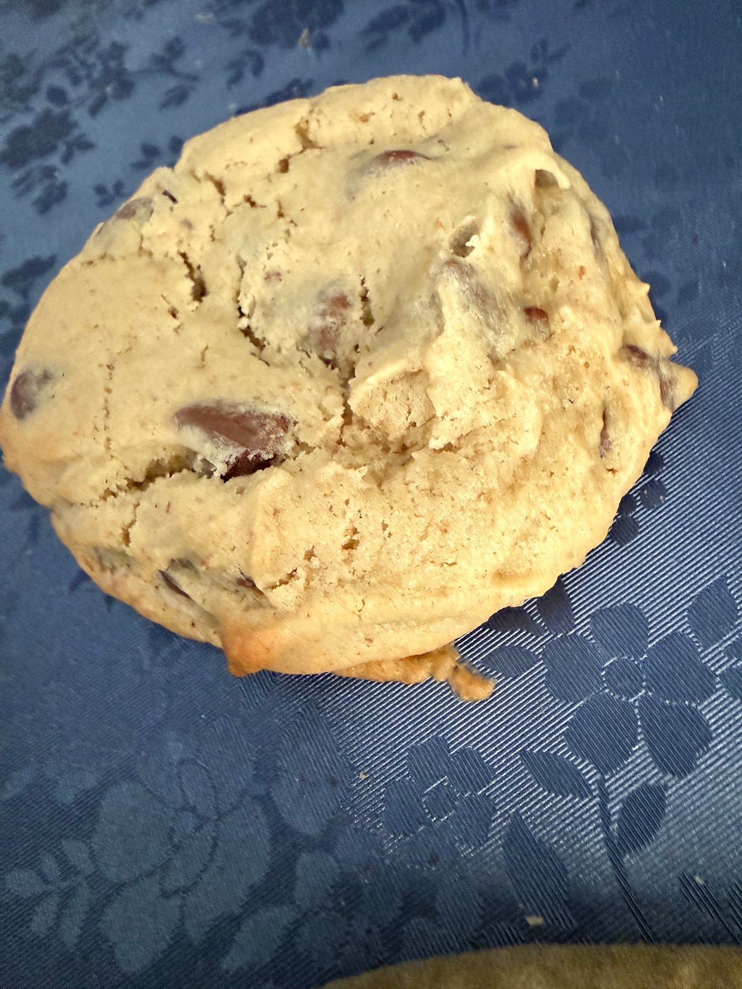Sourdough Discard Chocolate Chip Cookies