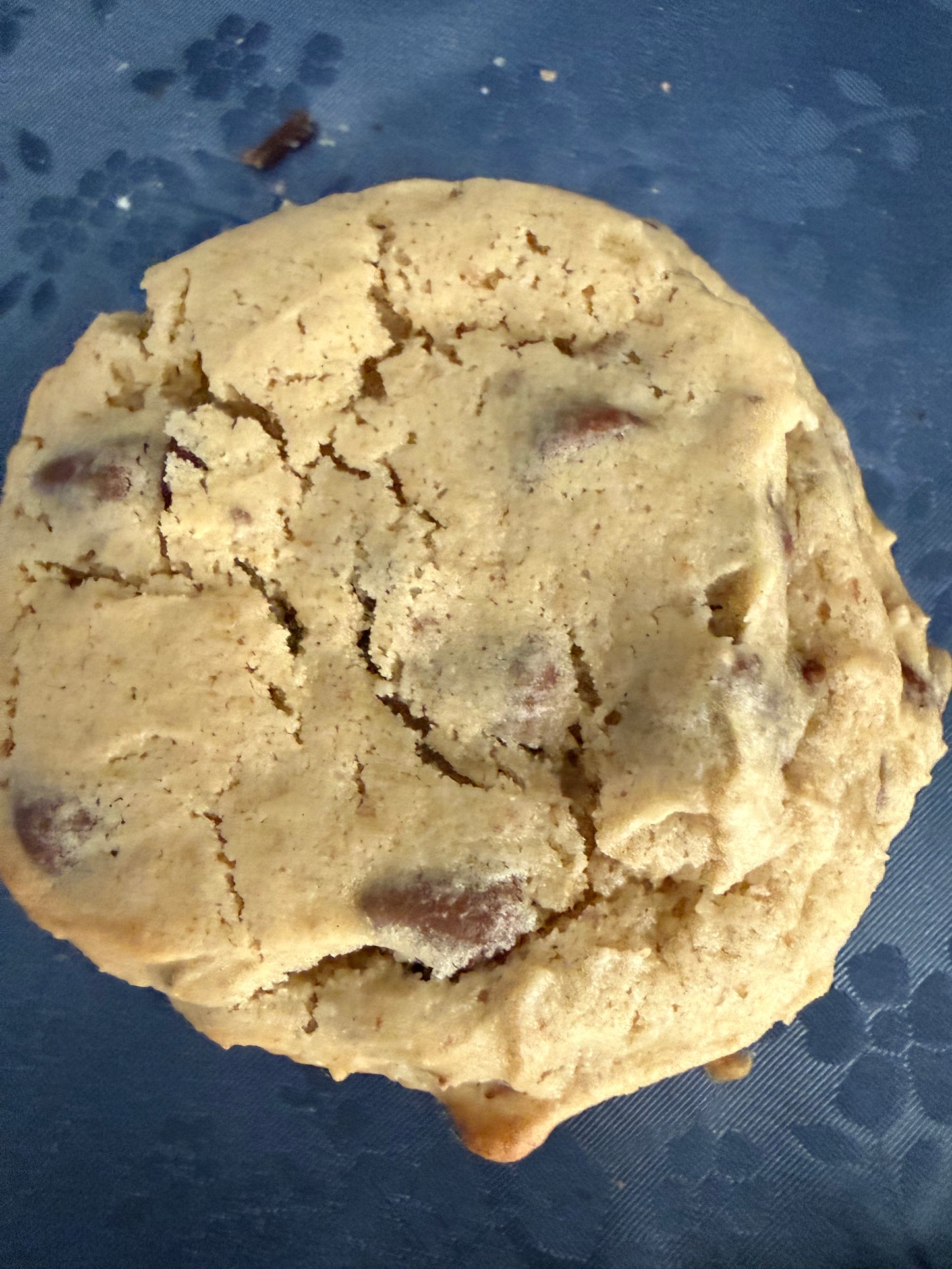 Sourdough Discard Chocolate Chip Cookies